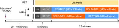 Integrated Positron Emission Tomography/Magnetic Resonance Imaging for Resting-State Functional and Metabolic Imaging in Human Brain: What Is Correlated and What Is Impacted